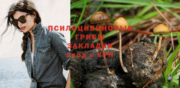 дживик Абаза