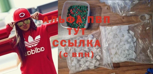 дживик Абаза