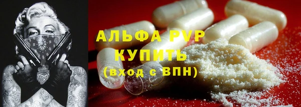 дживик Абаза