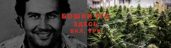 соль ск Алзамай